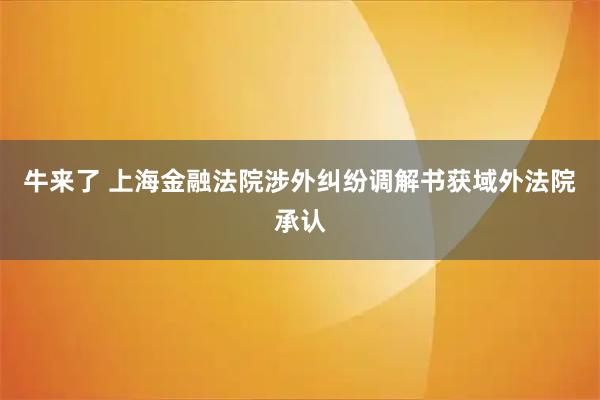 牛来了 上海金融法院涉外纠纷调解书获域外法院承认