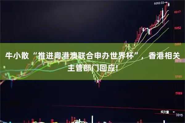 牛小散 “推进粤港澳联合申办世界杯”，香港相关主管部门回应!