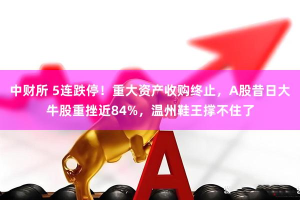 中财所 5连跌停!重大资产收购终止,A股昔日大牛股重挫近84%,温州鞋王撑不住了