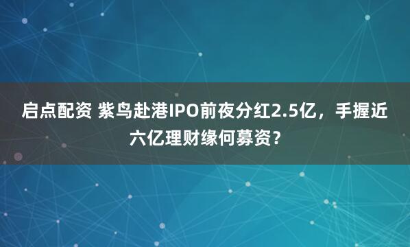 启点配资 紫鸟赴港IPO前夜分红2.5亿，手握近六亿理财缘何募资？
